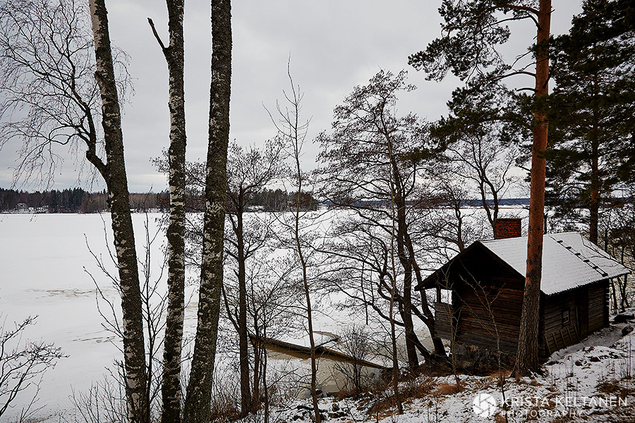 03-halosenniemi-pekka-halonen-forest-metsa-finland-suomi-photo-krista-keltanen-10