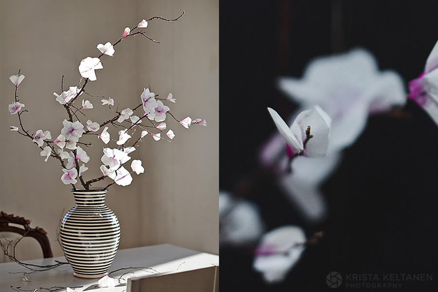 04-kinfolk-cherry-blossom-garden-photo-krista-keltanen-04