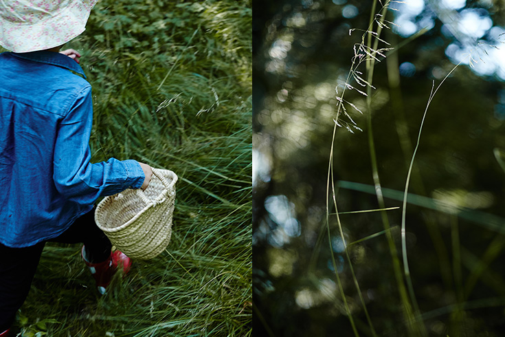 07-2015-suomi-forest-blueberry-mustikka-photo-krista-keltanen-02