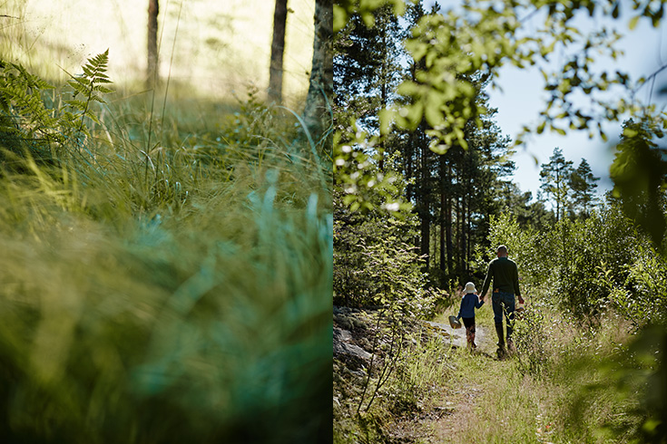 07-2015-suomi-forest-blueberry-mustikka-photo-krista-keltanen-03