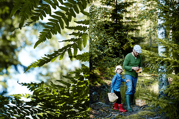 07-2015-suomi-forest-blueberry-mustikka-photo-krista-keltanen-09
