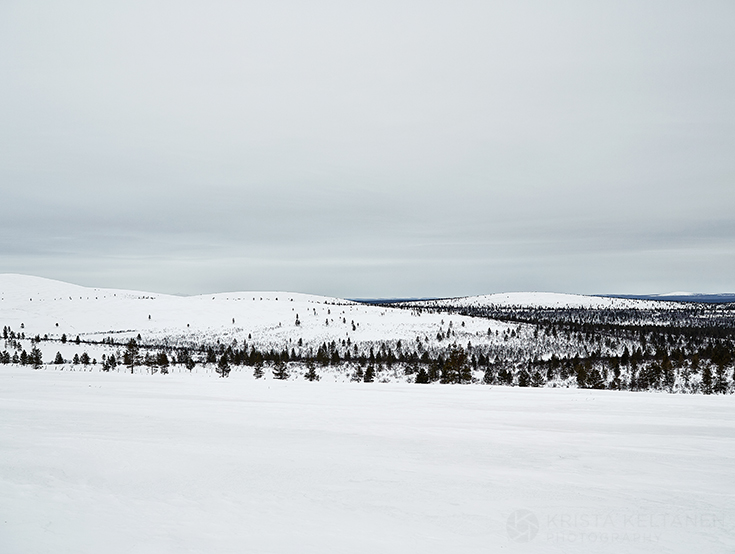12-2015-joutsen-finland-photo-krista-keltanen-02